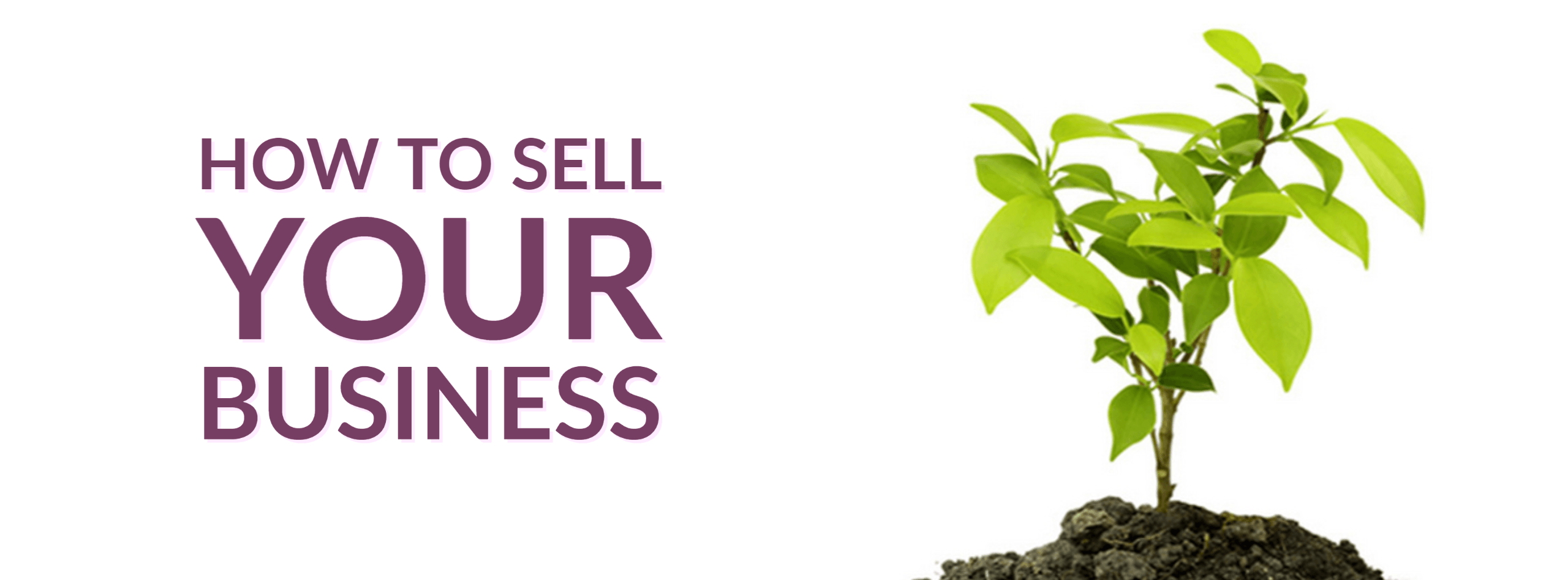 How to sell your business