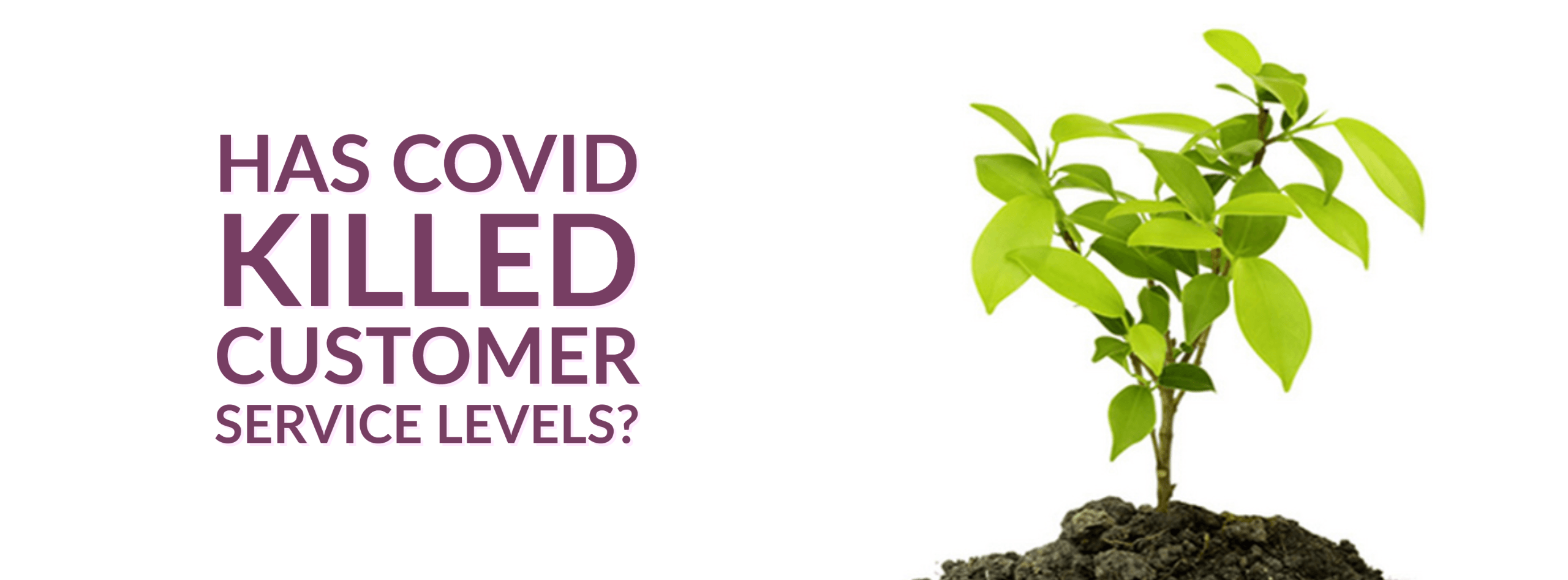 Has COVID killed customer service levels?