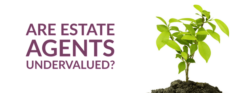 Are Estate Agents undervalued?