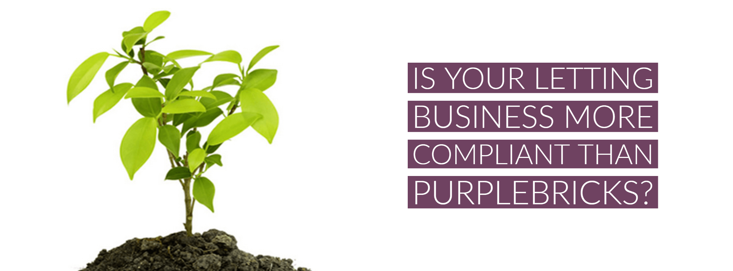 Is Your Letting Business More Compliant Than Purplebricks?