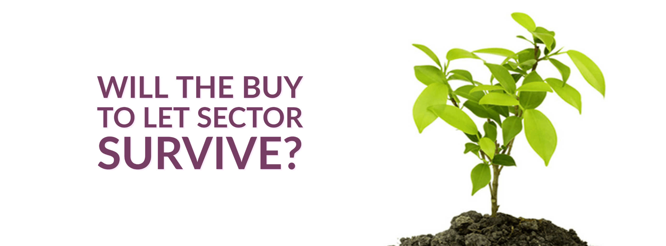Will The Buy to Let Sector Survive?